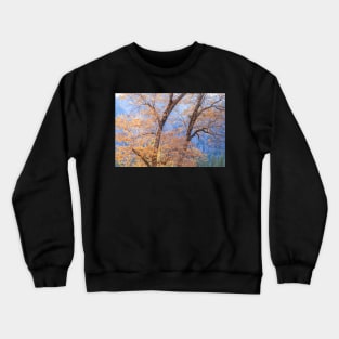 Black Oaks Fall Crewneck Sweatshirt